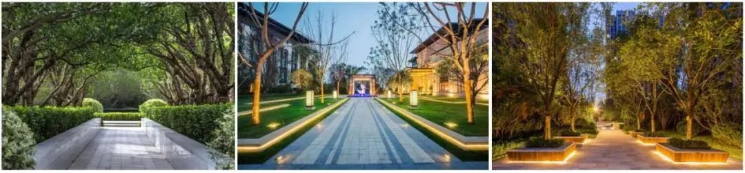 1595238884625589.jpg 7.jpg