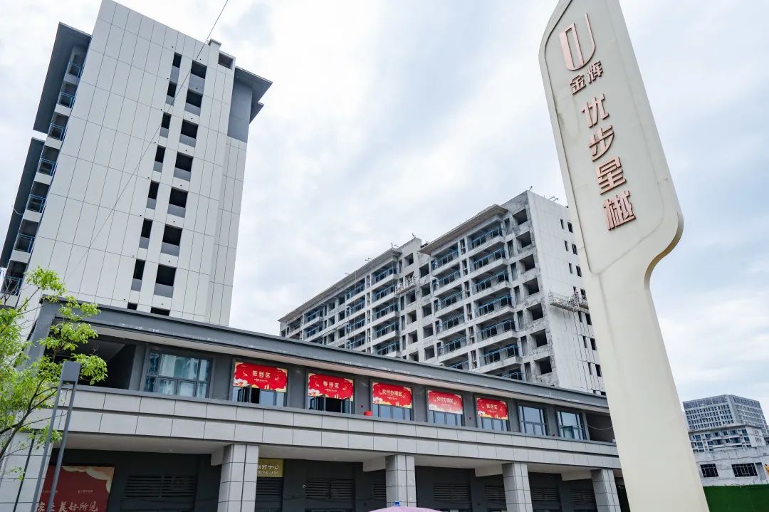 1657265379282985.jpg 8.jpg